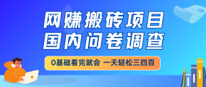 网赚搬砖项目,国内问卷调查,0基础看完就会 一天轻松三四百,靠谱副业...-天韵资源网