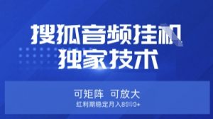 【搜狐音频挂G】独家技术，可矩阵可放大，红利期稳定月入8k【揭秘】-天韵资源网