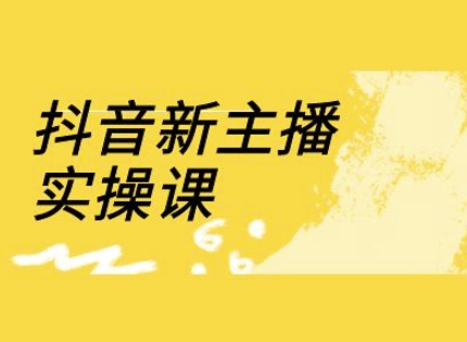 抖音新主播实操课，直播间流量运营线上实操课(18节)-天韵资源网