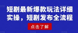 短剧最新爆款玩法详细实操,短剧发布全流程-天韵资源网