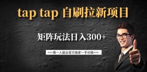 taptap拉新自刷项目,一个新用户14元,矩阵玩法日入300+-天韵资源网