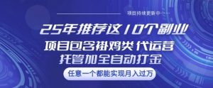 25年推荐这10个副业项目包含褂鸡类、代运营托管类、全自动打金类【揭秘】-天韵资源网
