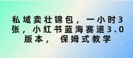 私域卖壮锦包，一小时3张，小红书蓝海赛道3.0版本， 保姆式教学-天韵资源网
