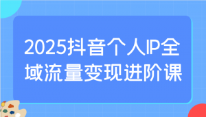 2025抖音个人IP全域流量变现进阶课:选爆品、抖音付费投流、千川投流实操及优化等-天韵资源网