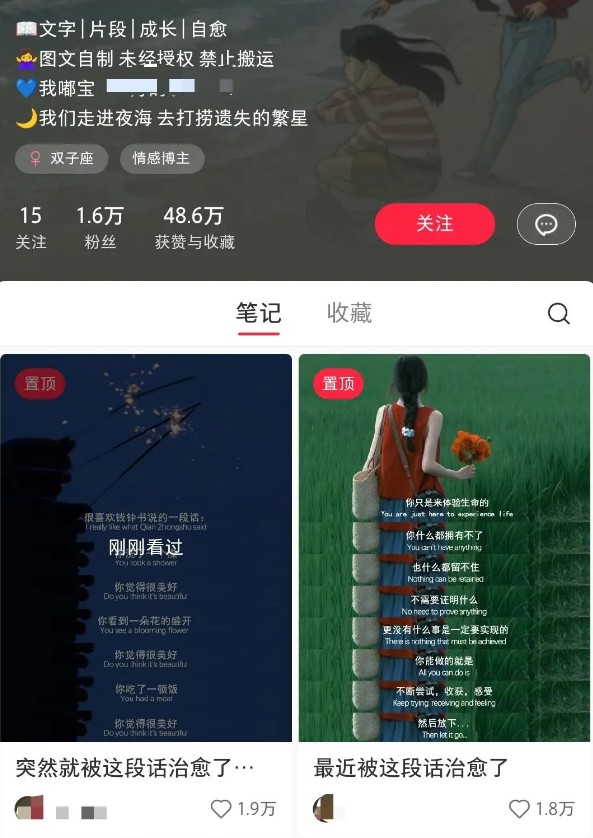 小红书治愈文案图文笔记，零门槛，一分钟制作轻松制作爆款作品月入万元-天韵资源网