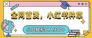 小红书种草,手机项目,日入3张,复制黏贴即可,可矩阵操作,动手不动脑【揭秘】-天韵资源网