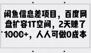 闲鱼信息差项目，百度网盘扩容1T空间，2天收益1k+，人人可做0成本-天韵资源网