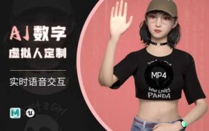 Ai数字人虚拟(智能体)实时语音交互特训营,自行定制超写实角色AI数字人交互技术-天韵资源网