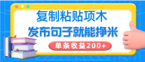 复制粘贴小项目,发布句子就能赚米,单条收益200+-天韵资源网