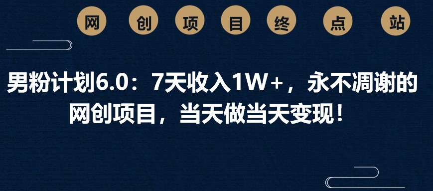 男粉计划6.0：7天收入1W+，永不凋谢的网创项目，当天做当天变现！-天韵资源网