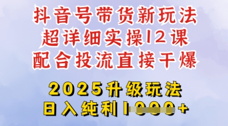 2025全新升级抖音带货玩法，一天纯利四位数，从剪辑到选品再到发布投流，超详细玩法揭秘-天韵资源网