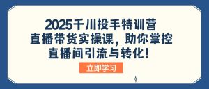 2025千川投手特训营：直播带货实操课，助你掌控直播间引流与转化！-天韵资源网