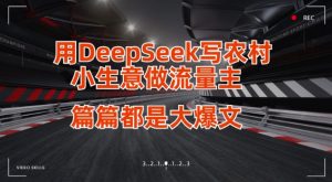 用DeepSeek写小生意做流量主,篇篇都是大爆文-天韵资源网
