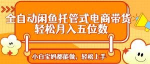 全自动闲鱼托管式电商带货 轻松实现月入五位数-天韵资源网