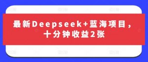 最新Deepseek+蓝海项目，十分钟收益2张-天韵资源网