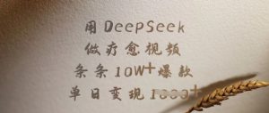 用DeepSeek做疗愈视频,条条10W+爆款,单日变现多张-天韵资源网