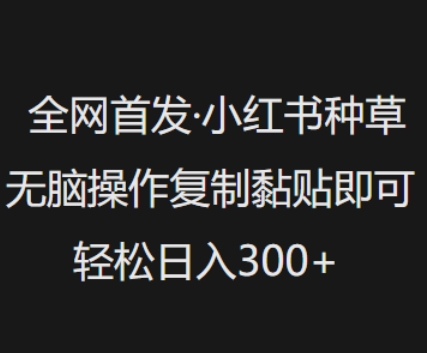全网首发，小红书种草无脑操作，复制黏贴即可，轻松日入3张-天韵资源网