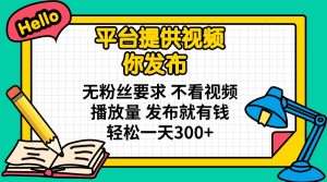 平台提供视频 你发布 无粉丝要求 不看视频播放量 发布就有钱 轻松一天300+-天韵资源网