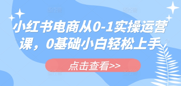 小红书电商从0-1实操运营课，0基础小白轻松上手-天韵资源网