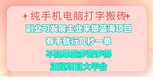 纯手机电脑打字搬砖，有手就行，几秒一单，多劳多得，正规项目大平台【揭秘】-天韵资源网