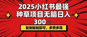2025小红书最强种草项目，无脑日入300+，复制粘帖即可，多劳多得-天韵资源网
