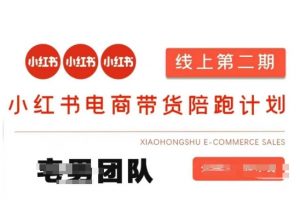 小红书电商带货课2期，月利润20个的小红书电商的有货源，无货源，虚拟产品，付费投流等整套玩法-天韵资源网