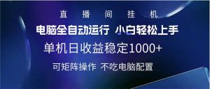 2025直播间最新玩法单机日入1000+ 全自动运行 可矩阵操作-天韵资源网