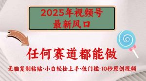 2025年视频号新风口,低门槛只需要无脑执行-天韵资源网