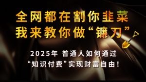 全网都在割你韭菜,我来教你做镰刀,2025普通人如何通过知识付费,实现财F自由【揭秘】-天韵资源网