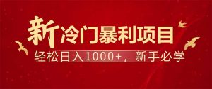 项目名称：每天一小时，轻松到手1000，冷门赚钱项目！-天韵资源网
