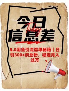 5.0闲鱼引流爆单秘籍,日引300+创业粉,稳定月入过W-天韵资源网