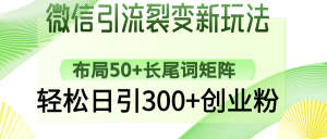 微信引流裂变新玩法:布局50+长尾词矩阵,轻松日引300+创业粉-天韵资源网