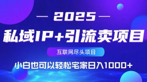 私域IP+引流卖项目，小白也可以做到轻松宅家日入1000+-天韵资源网