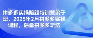 拼多多实操陪跑特训营弟子班,2025年2月拼多多实操课程,海量拼多多玩法-天韵资源网