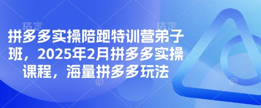 拼多多实操陪跑特训营弟子班，2025年2月拼多多实操课程，海量拼多多玩法-天韵资源网