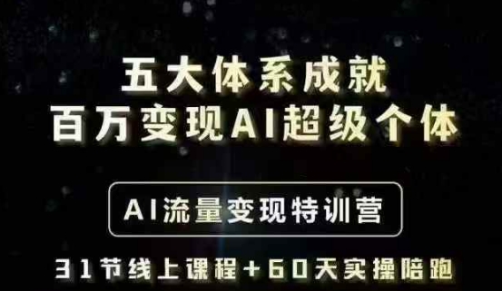 五大体系成就百万变现AI超级个体- AI流量变现特训营，一步一步教你一个人怎么年入百W-天韵资源网