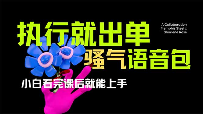 爆火全网的开车导航骚气语音包,只要执行就出单，小白看完课程就能实操…-天韵资源网