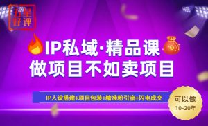 2025年“IP私域·密训精品课”，日赚3000+小白避坑年赚百万，暴力引流...-天韵资源网