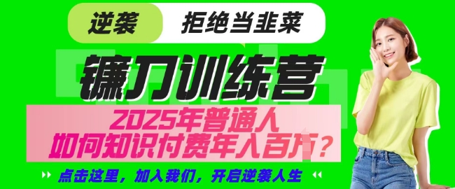 【网创项目终点站-镰刀训练营超级IP合伙人】25年普通人如何通过知识付费实现逆袭【揭秘】-天韵资源网