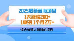 2025蓝海项目 1天涨粉200+ 1单99 1个月2万+-天韵资源网