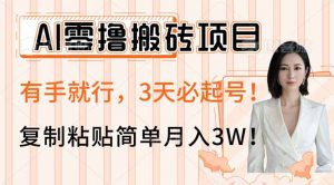 AI零撸搬砖项目玩法，有手就行，3天必起号，复制粘贴简单月入3W！-天韵资源网