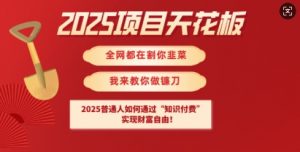 2025项目天花板普通人如何通过知识付费,实现财F自由【揭秘】-天韵资源网