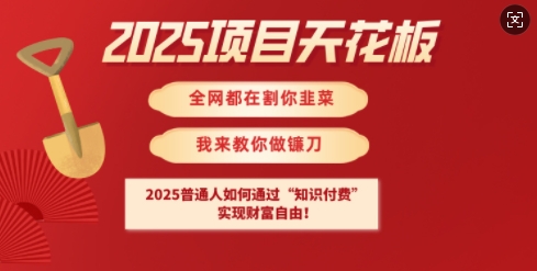 2025项目天花板普通人如何通过知识付费，实现财F自由【揭秘】-天韵资源网