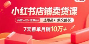 小红书店铺卖货课：商城入驻+选爆品+爆文模板，7天首单月销10万+-天韵资源网