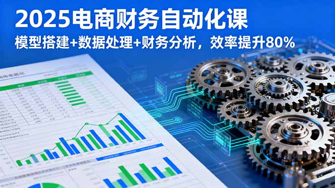 2025电商财务自动化课，模型搭建+数据处理+财务分析，效率提升80%-天韵资源网