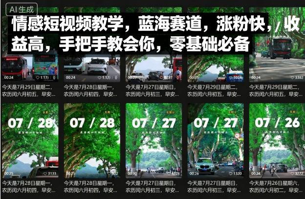 情感短视频教学，蓝海赛道，涨粉快，收益高，手把手教会你，零基础必备-天韵资源网