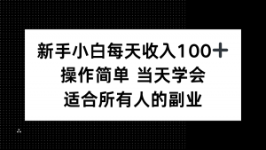 新手小白每天收入100+，操作简单 当天学会 ，适合所有人的副业-天韵资源网