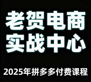 老贺电商2025年拼多多付费课程，用通俗易懂的方法告诉你多多怎么玩-天韵资源网