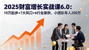 2025财富增长实战课6.0：10万起步+7大风口+6行业案例，小团队年入200万-天韵资源网