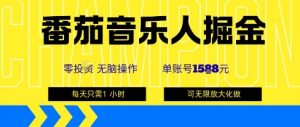 番茄音乐人掘金，单账号最高可撸1k+，可无限矩阵去做，零投入-天韵资源网